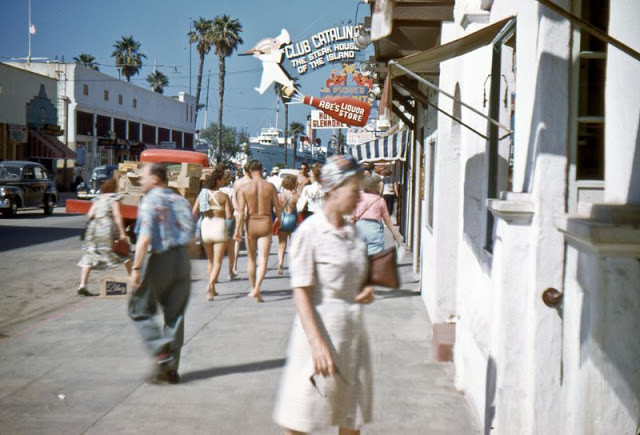 Một hình ảnh khác ở Catalina Island.