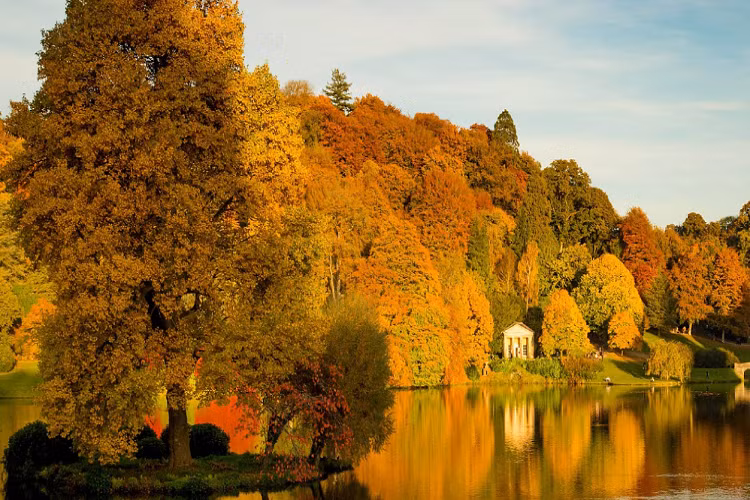 Hàng cây in bóng xuống mặt nước tạo nên bức tranh thiên nhiên tuyệt đẹp vào mùa thu ở Stourhead, Wiltshire.