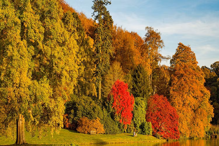 Mùa thu thanh bình ở Stourhead, Wiltshire.