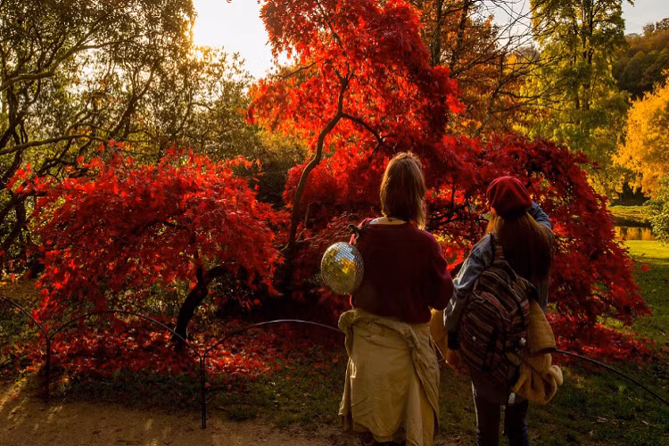 Hai người phụ nữ ngắm lá đỏ vào mùa thu ở Stourhead, Wiltshire.