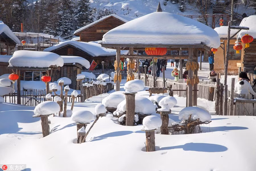 Những cây “nấm tuyết” độc đáo ở làng Xuexiang. Ảnh chụp ngày 22/1/2016.