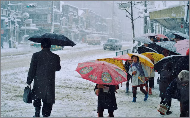 Những chiếc ô như thế này không thể thiếu để người dân Nhật Bản vượt qua cái giá lạnh của mùa đông năm 1969.