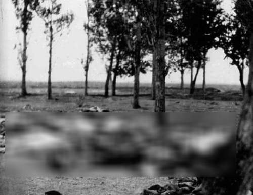 Thi thể các nạn nhân nằm la liệt trên nền đất ở Đế quốc Ottoman vào khoảng giữa năm 1915.