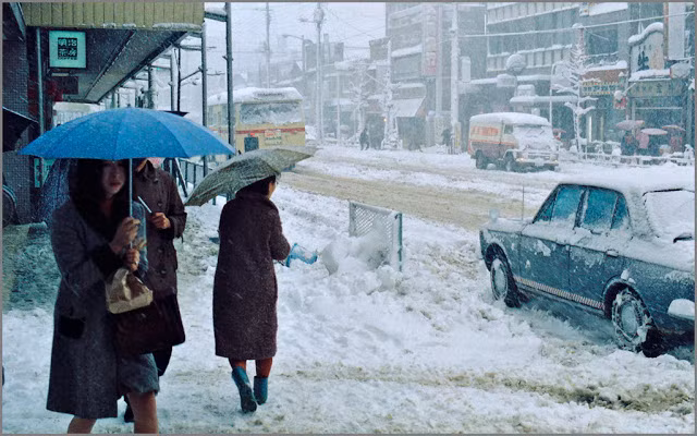 Tuyết rơi dày trên phố Waseda, thủ đô Tokyo.
