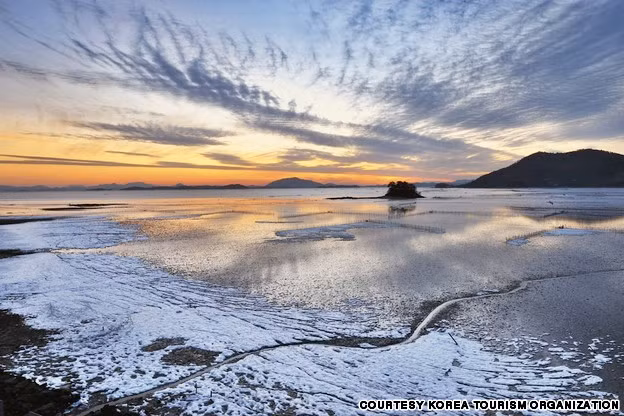 Vịnh Suncheon ở Hàn Quốc là một trong những đầm lầy ven biển lớn nhất thế giới.