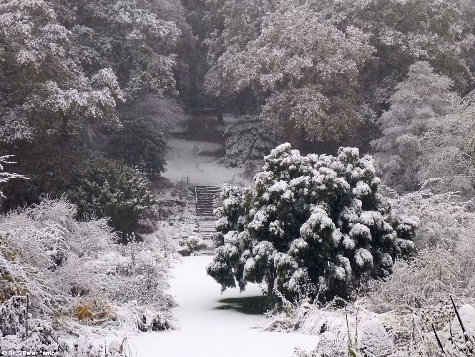 Các nhà chức trách cảnh báo, với lượng tuyết rơi dày vào đầu mùa như vậy, nguy cơ lở tuyết có thể xảy ra trong vài ngày tới. Ảnh: Daily Mail.