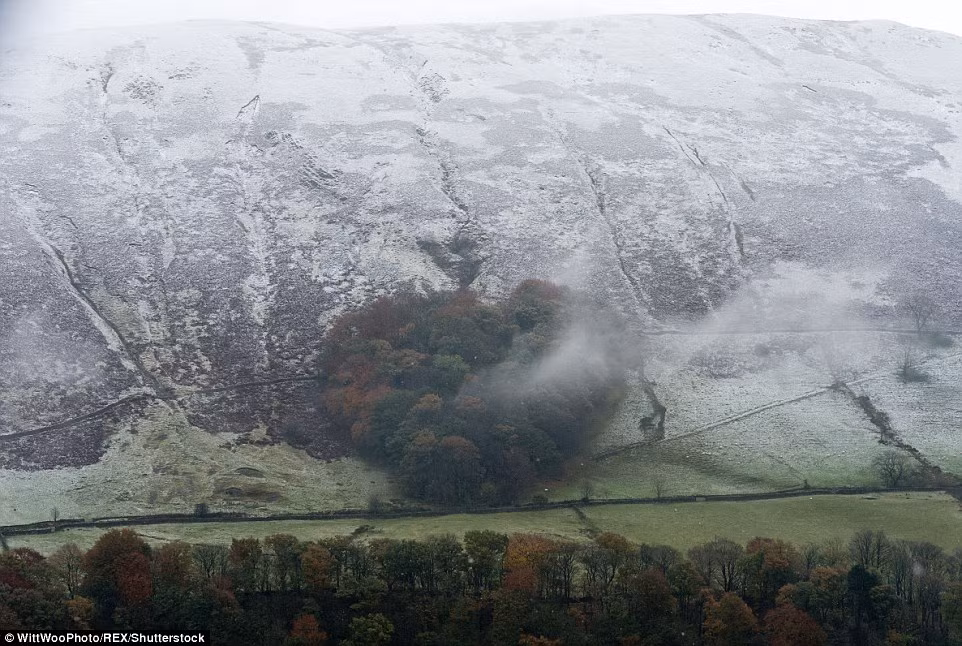 Tuyết bao phủ rừng cây ở Tebay, Cumbria, Anh. Ảnh: Shutterstock.
