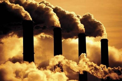 Khủng hoảng môi trường và sự nóng lên toàn cầu cũng là vấn đề nổi cộm trong năm nay trong bối cảnh các nhà đầu tư và tư bản quá tập trung vào việc kiếm tiền mà không quan tâm đến việc bảo vệ môi trường.