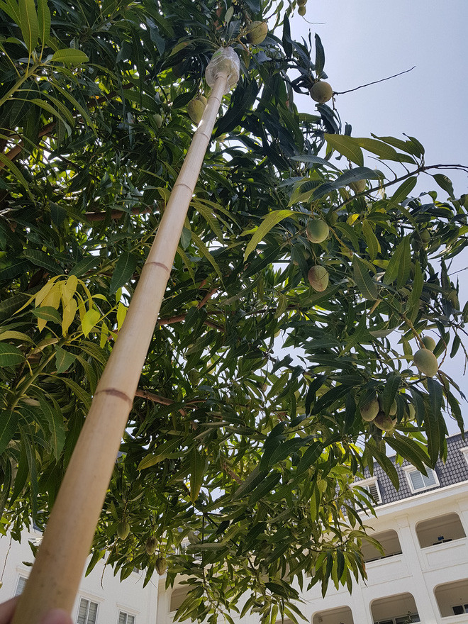 Sau khi loạt hình ảnh được đăng tải đã nhanh chóng thu hút sự chú ý và được lan truyền với tốc độ chóng mặt trên mạng xã hội.