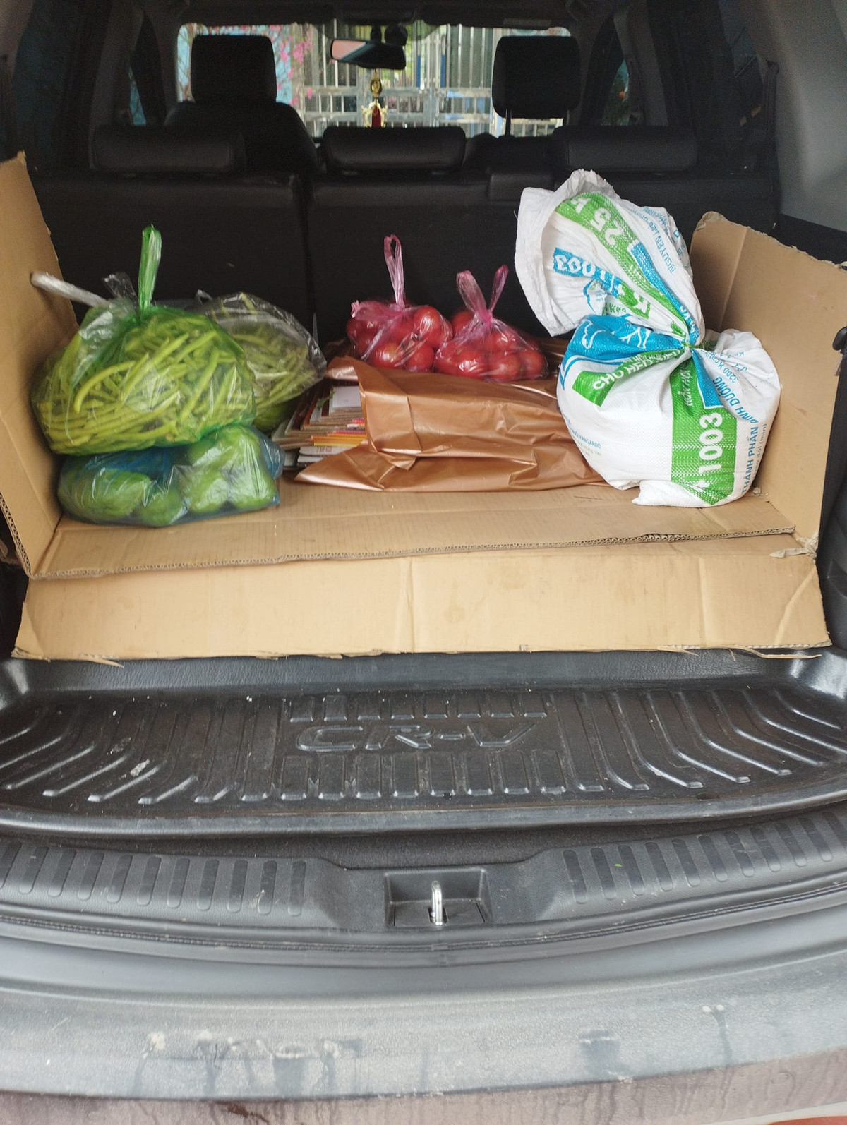 Sau mỗi lần từ quê nhà lên thành phố đều mang đầy những túi xách, vali chứa lương thực thực phẩm do gia đình chuẩn bị.