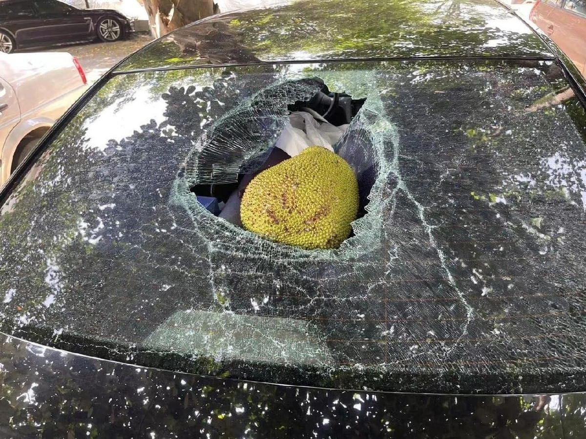 Có lẽ khi đỗ xe, vị tài xế này cũng không ngờ cái kết đầy ai oán lại xảy ra đối với mình.