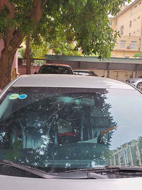 Chiếc xe đồng cảnh ngộ khi đỗ dưới bóng cây, tuy nhiên cái kết nhận về lại quá "đắng ngắt".