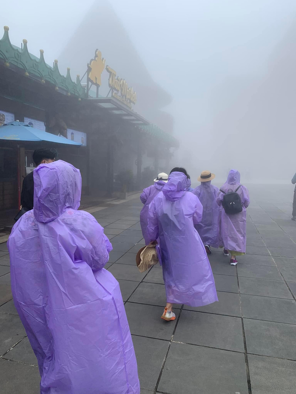 Hình ảnh một đoàn du khách khác đi đến Bà Nà Hills ngắm tiên cảnh mà thời tiết không được như mong muốn. Ảnh: Phạm Minh Tuân