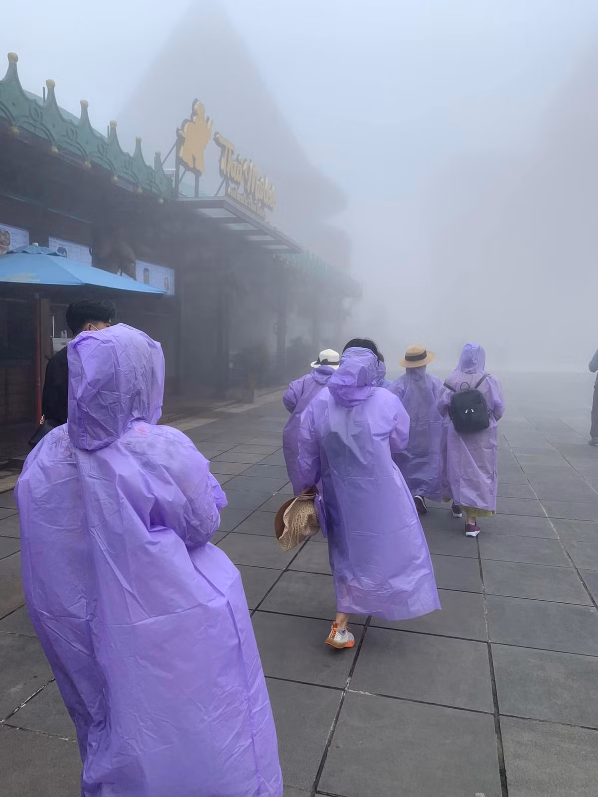 Hình ảnh một đoàn du khách khác đi đến Bà Nà Hills ngắm tiên cảnh mà thời tiết không được như mong muốn. Ảnh: Phạm Minh Tuân