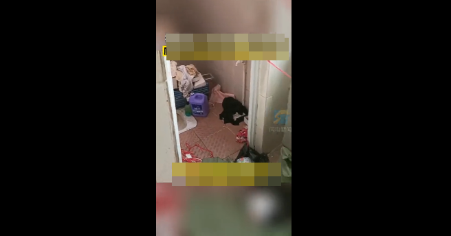 Hình ảnh cho thấy chủ nhà đang nhờ người dọn dẹp trong một căn nhà bẩn như đã bị bỏ hoang gần chục năm.