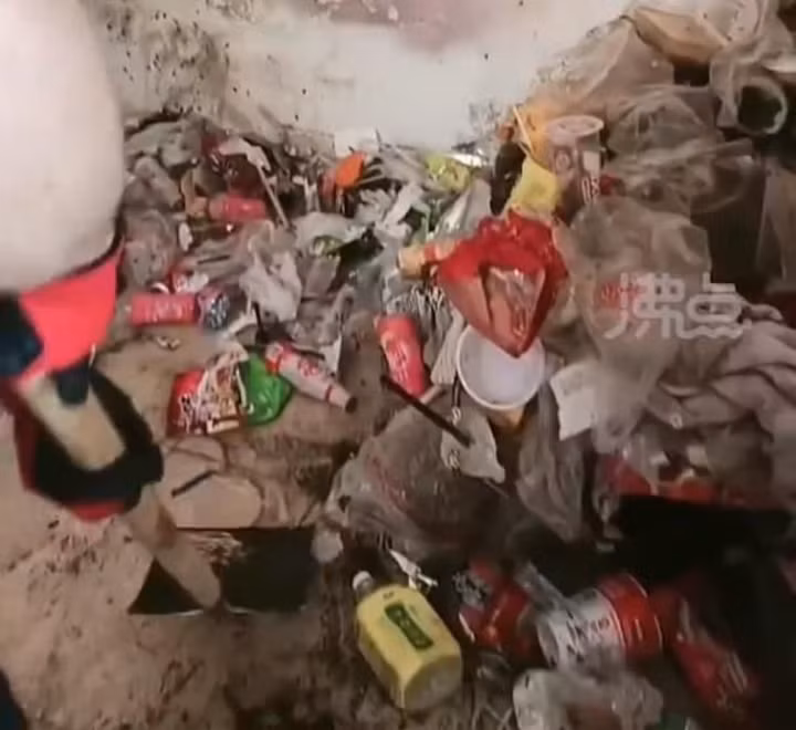 Tuy nhiên rùng mình hơn là căn phòng trọ bẩn này xuất hiện rất nhiều gián, bốn bức tường trắng bị chiếm đóng bởi hàng trăm con gián với đủ kích cỡ đang bò lổm ngổm, ngang dọc.