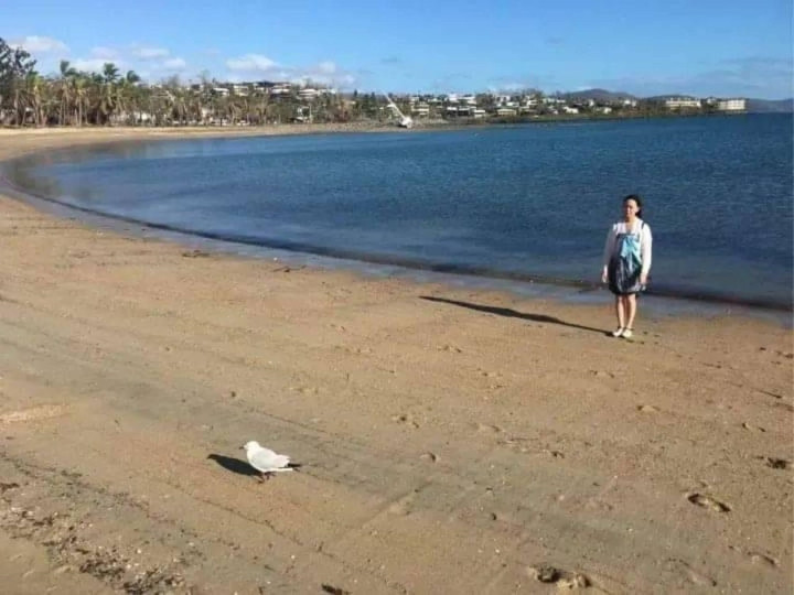 Đang tính chụp thì tự nhiên thấy con chim đẹp quá.