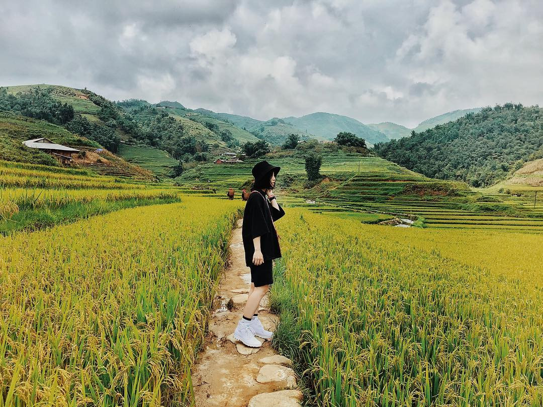 Đến thăm cánh đồng Mường Thanh để choáng ngợp về một khung cảnh thiên thiên quá mức đẹp đẽ và thổi hồn vào dòng lịch sử xưa. Ảnh: Tổng hợp