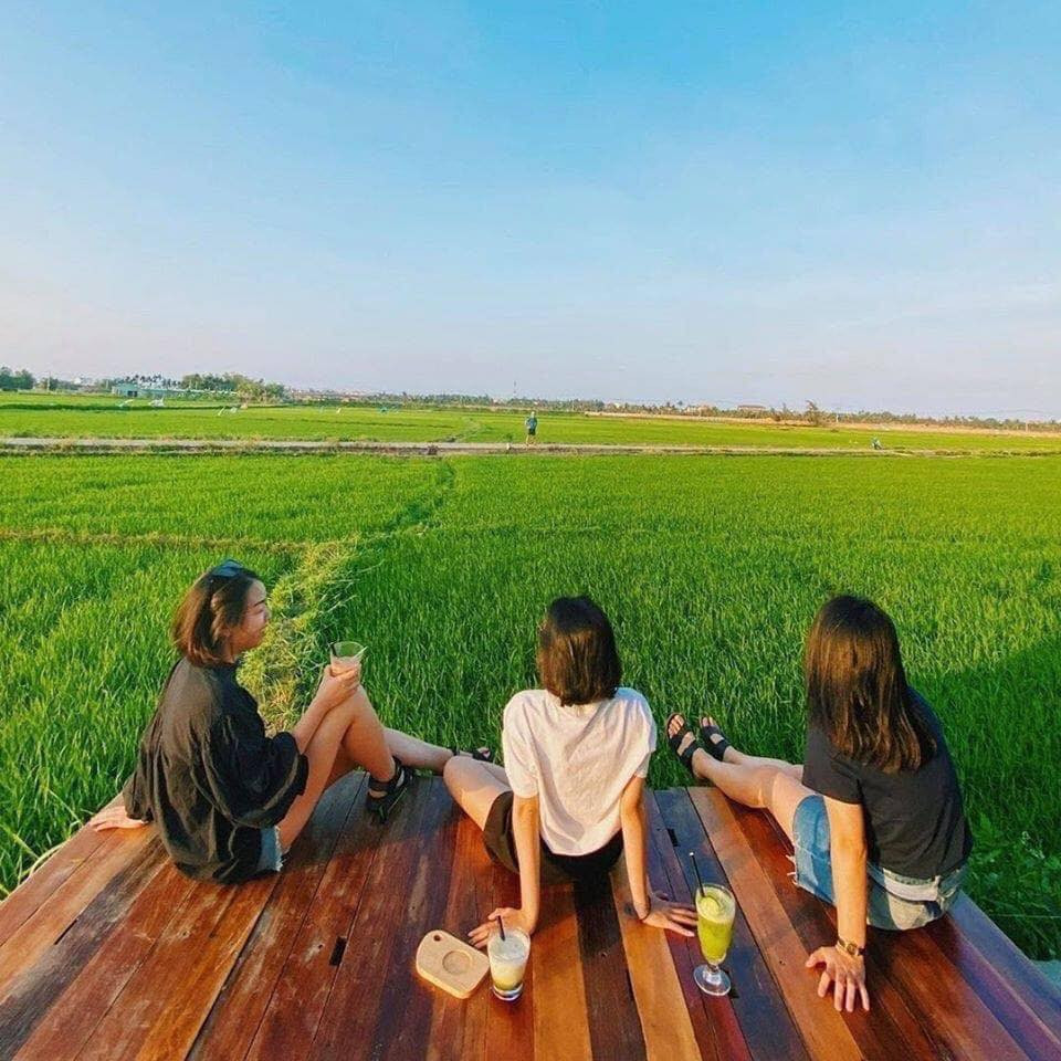 Đặc biệt, mỗi dịp lúa chín khung cảnh nơi đây lại nhuộm vàng cả một vùng trời.