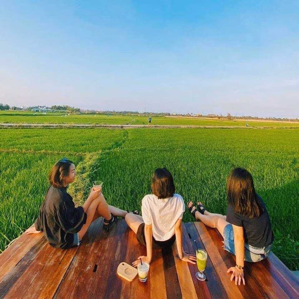 Đặc biệt, mỗi dịp lúa chín khung cảnh nơi đây lại nhuộm vàng cả một vùng trời.