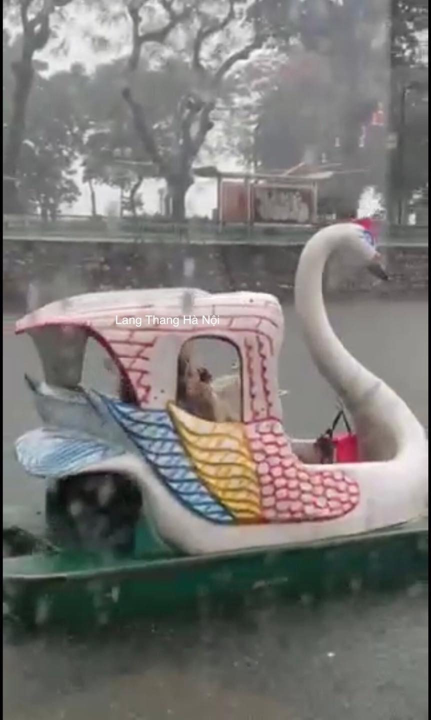 Hình ảnh hài hước ngày Hà Nội ngập lụt nhận được sự chú ý lớn từ cư dân mạng. Ảnh: Mai Nguyễn - Lang Thang Hà Nội