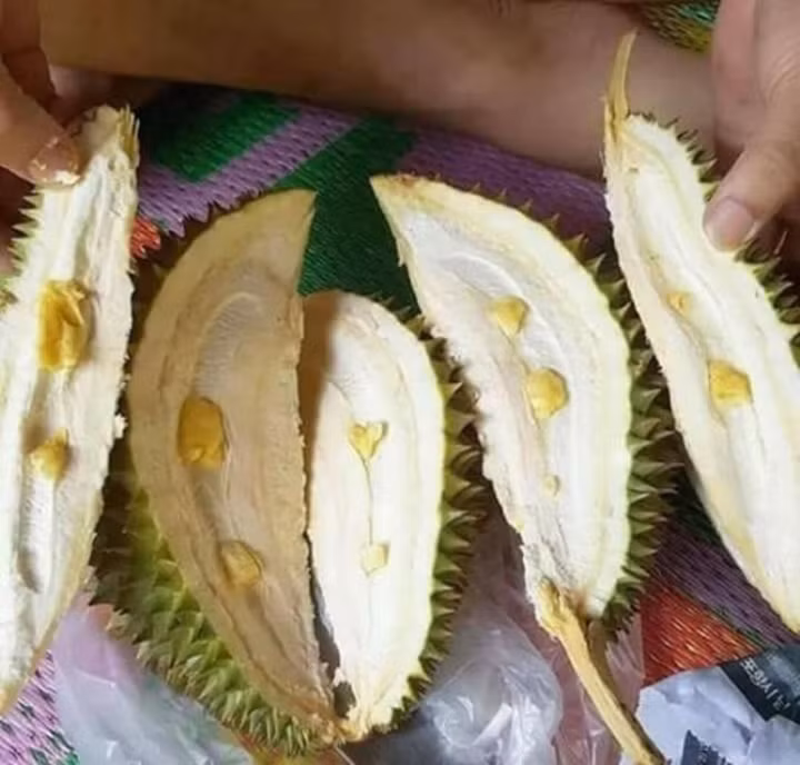 Để mua được quả sầu riêng ngon đúng như mong muốn là điều không hề dễ dàng, minh chứng là trên MXH xuất hiện nhiều màn bổ sầu riêng "khóc cạn nước mắt" của cư dân mạng.