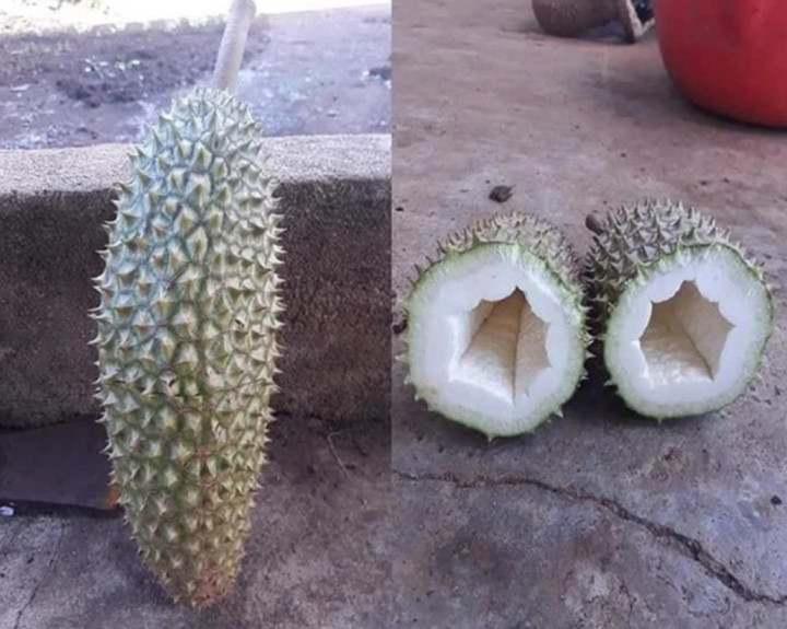 Vào mùa sầu riêng, không ít netizen được dịp chia sẻ những thảm họa từ những lần tách vỏ quả sầu riêng. Chứng kiến cảnh này, không ít người mê thứ quả này phải ôm mặt khóc.