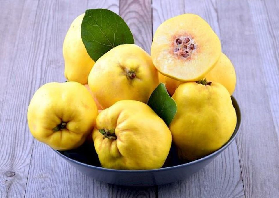 Loại quả vừa chát vừa cứng, hóa ra là đặc sản gần 200.000đ/kg - Hình 2 Loai qua vua chat vua cung, hoa ra la dac san gan 200.000d/kg-Hinh-2