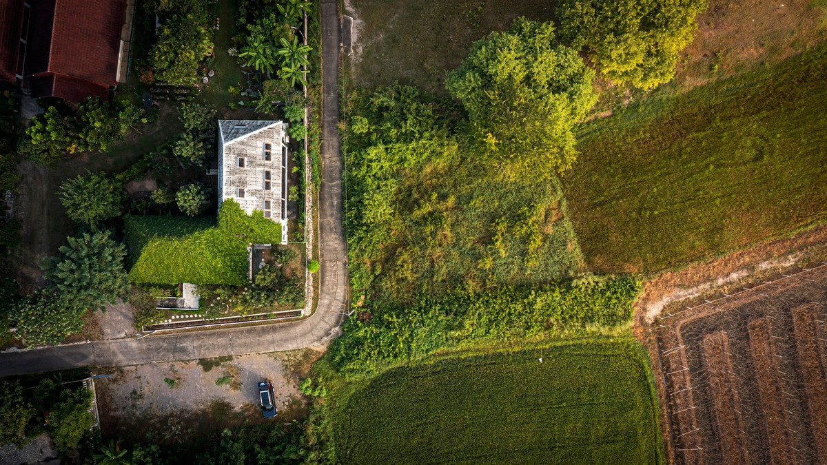 Những cây lớn được trồng để tạo bóng mát, giúp ngôi nhà luôn mát mẻ.