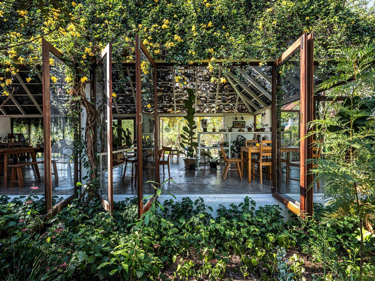 Cây kèn vàng cũng đóng vai trò là vật liệu xây dựng tự nhiên cho tác phẩm kiến trúc này.