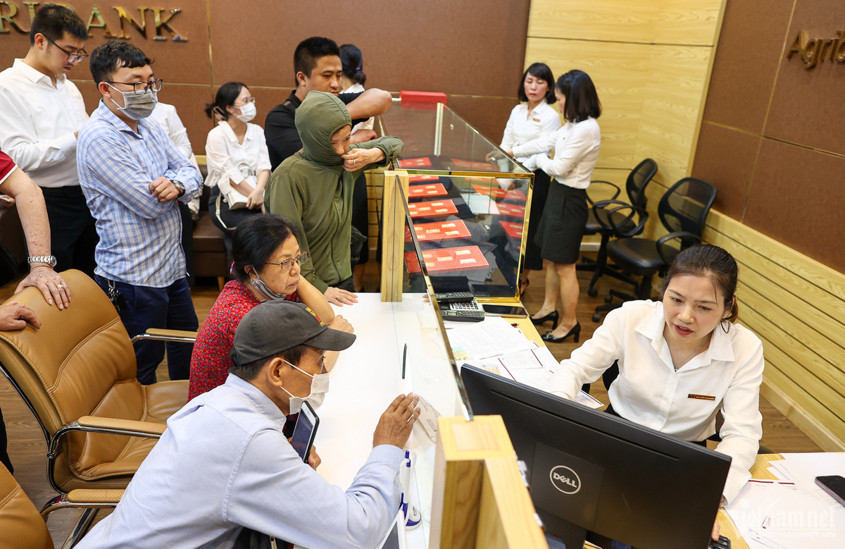 Đứng ngồi không yên vì không mua được vàng trả nợ Dung ngoi khong yen vi khong mua duoc vang tra no