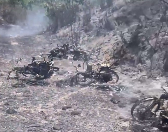 Rừng bạch đàn ở Quảng Bình bốc cháy dữ dội - Hình 3 Rung bach dan o Quang Binh boc chay du doi-Hinh-3