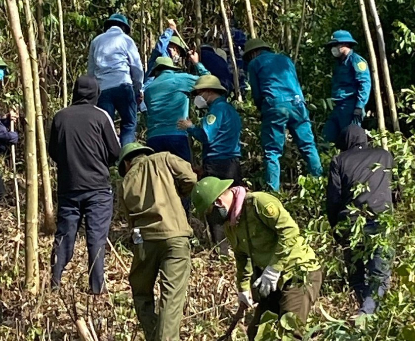 Rừng bạch đàn ở Quảng Bình bốc cháy dữ dội - Hình 2 Rung bach dan o Quang Binh boc chay du doi-Hinh-2