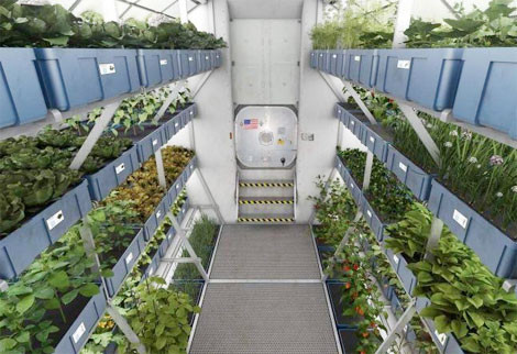 NASA trong rau xanh tren khong gian thanh cong-Hinh-2