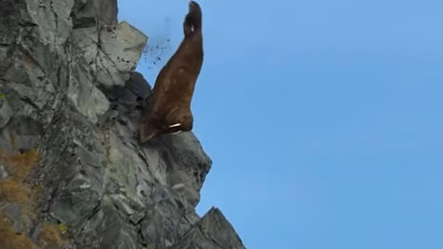 Hai ma quang minh xuong vach nui: Cai chet trong gang tac va su that nghiet nga-Hinh-3