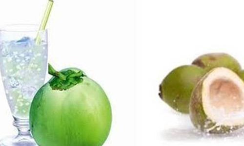 Hỗ trợ tiêu hóa. Ngoài khả năng thúc đẩy trao đổi chất, nước dừa còn rất phù hợp cho các trường hợp mắc chứng đầy hơi, trào ngược axit. Không chỉ vậy, nước dừa còn chứa chất xơ thúc đẩy tiêu hóa, giảm thiểu trào ngược axit khiến bạn ăn uống ngon miệng, tiêu hóa hiệu quả.