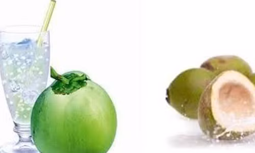 Hỗ trợ tiêu hóa. Ngoài khả năng thúc đẩy trao đổi chất, nước dừa còn rất phù hợp cho các trường hợp mắc chứng đầy hơi, trào ngược axit. Không chỉ vậy, nước dừa còn chứa chất xơ thúc đẩy tiêu hóa, giảm thiểu trào ngược axit khiến bạn ăn uống ngon miệng, tiêu hóa hiệu quả.