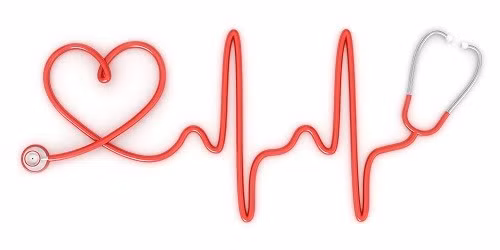 Nghiên cứu cũng chỉ ra người thừa cân có nồng độ cholesterol trong máu cao hơn 50% so với bình thường.