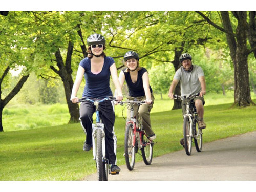 Tập thể dục. Tập thể dục còn là cách hiệu quả và đơn giản nhất giúp tránh đau lưng. Không cần thiết phải theo đuổi các bài tập đòi hỏi cường độ mạnh hay kĩ thuật khó, bạn có thể bảo vệ mình bằng cách đi bộ chừng 30 phút mỗi ngày.