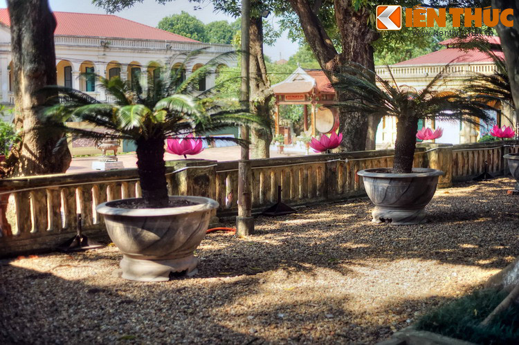 Cho đến nay ý tưởng này đang được xúc tiến với sự quan tâm của nhiều nhà khoa học trong và ngoài nước và các cơ quan chức năng.