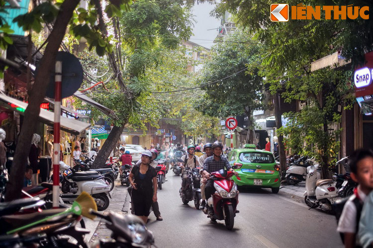  Phố Hàng Cá là con phố dài khoảng 120 mét, kéo dài từ phố Hàng Đường đến phố Thuốc Bắc ở khu vực trung tâm phố cổ Hà Nội. Đây nguyên là đất thôn Đồng Thuận, tổng Hậu Túc (sau đổi là tổng Đồng Xuân), huyện Thọ Xương cũ.