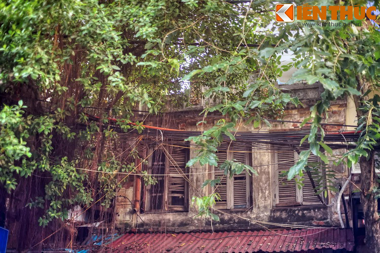 Cũng như nhiều con phố khác ở phố cổ Hà Nội, phố Hàng Cá của thế kỷ 21 là vừa mang sự nhộn nhịp, hối hả của đời sống hiện đại, vừa mang nét thâm trầm cổ kính được lưu giữ từ hàng trăm năm trước.