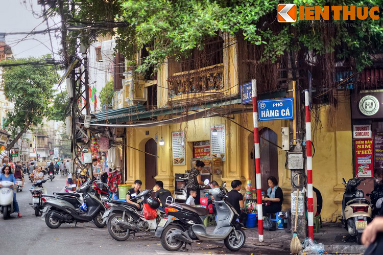 Vào thời thuộc địa, người Pháp gọi phố là “rue de la Poissonnerie” (phố có các cửa hàng bán cá – Hàng Cá). Năm 1945 lấy lại tên tiếng Việt là phố Hàng Cá.