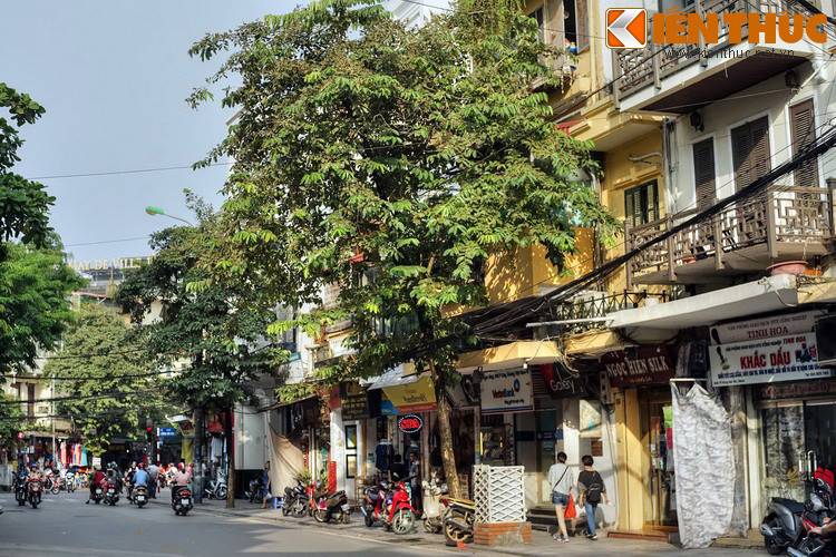 Thời Pháp thuộc người Pháp gọi phố Hàng Gai là “rue du Chanvre”, nghĩa là phố bán đồ làm từ cây gai. Vào thời đó trên phố có hai dinh sở lớn của chính quyền thực dân là Dinh Kinh lược sứ Bắc Kỳ ở số 79 - 83 và Dinh công sứ Pháp đối diện ở số 80. Năm 1945 phố lấy lại tên tiếng Việt là phố Hàng Gai.