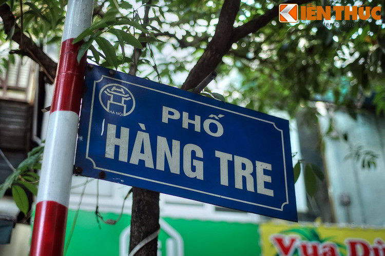 Tên gọi phố Hàng Tre bắt nguồn từ việc thời xưa nơi này là dải đất cát bồi ven sông Hồng khi chưa có con đê bao ngoài. Nhà cửa khi đó thưa thớt, mặt phố chủ yếu được dùng tạm để làm bãi chứa gỗ, tre và xây xưởng cưa xẻ, dựng chuồng nhốt bò, ngựa kéo xe chở vật liệu xây dựng.