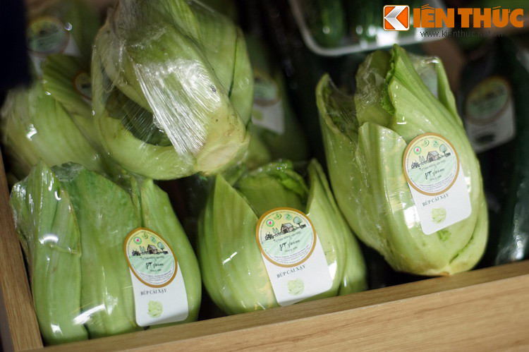 Búp cải sậy Đà Lạt.