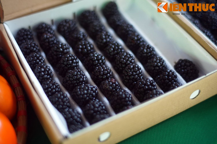 Trái phúc bồn tử đen trồng tại một hợp tác xã ở Đà Lạt. Hiện nay, Đà Lạt là một trong những địa phương đi đầu về sản xuất nông nghiệp ứng dụng công nghệ cao với nhiều chủng loại sản phẩm rau, hoa và cây trái đặc sản cung cấp thị trường trong và ngoài nước.