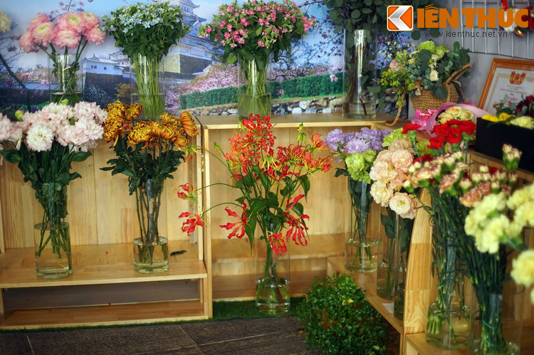 Các loài hoa được đưa đến từ Nhật Bản.