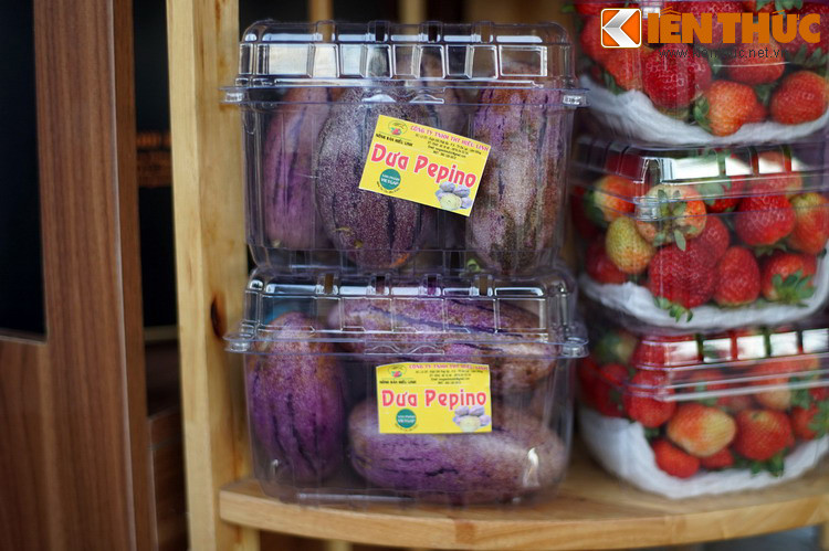 Dưa pepino có nguồn gốc từ Mexico là một nông sản được du nhập vào Đà Lạt một vài năm gần đây.