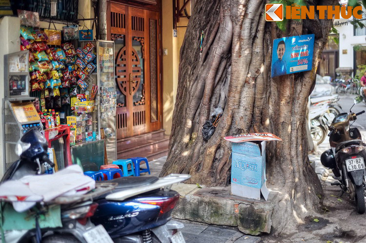 Sau các thăng trầm lịch sử, phố Mã Mây không còn sự hiện diện của các ngành nghề truyền thống hoặc mặt hàng đặc trưng như nhiều phố khác trong khu phố cổ Hà Nội.